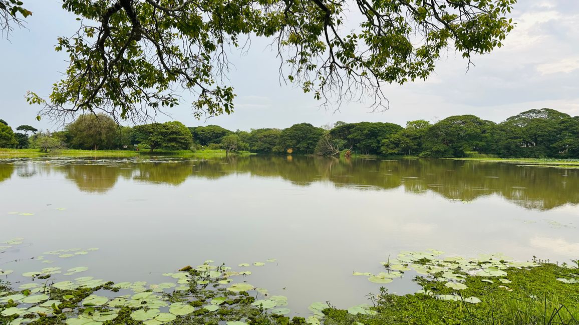 Dambulla Cave Temple