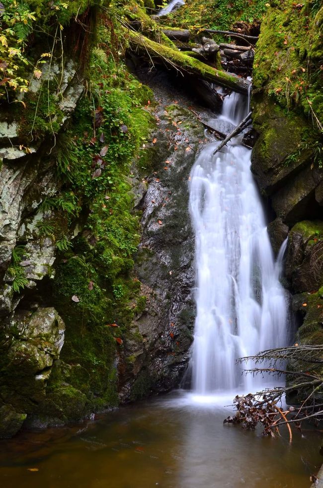 Autumn hiking in the Wutach Gorge: Red, yellow, orange... and you're right in the middle!