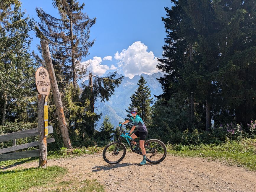 Brake finger break at the water reservoir