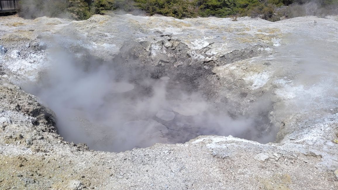 In Wai-O-Tapu National Park and at Lady Knox