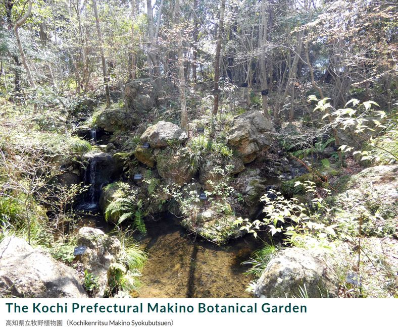 Makino Botanical Garden