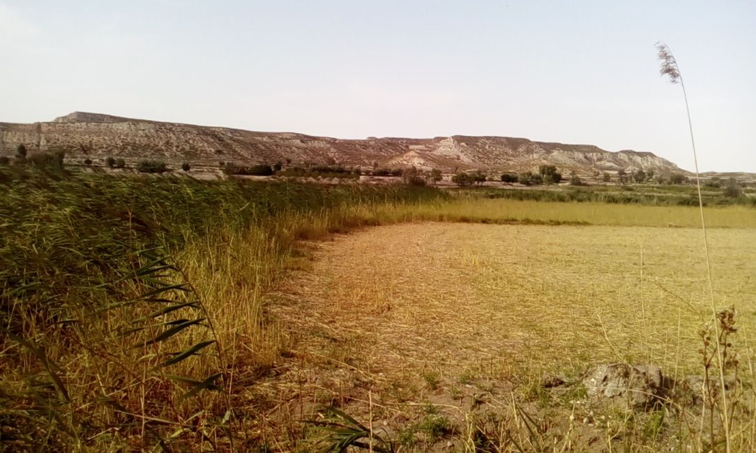 Public Spring of Fuencaliente (Orce, Granada) (August 2021)
