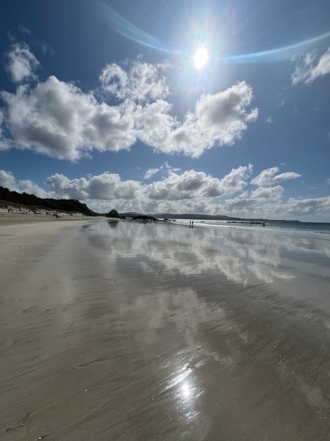 Tawharanui Peninsula 