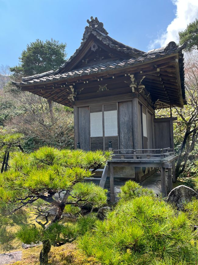 Kyoto-Domingo-06.04.25