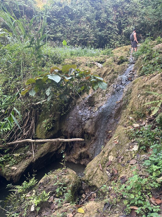 Muang Ngoy