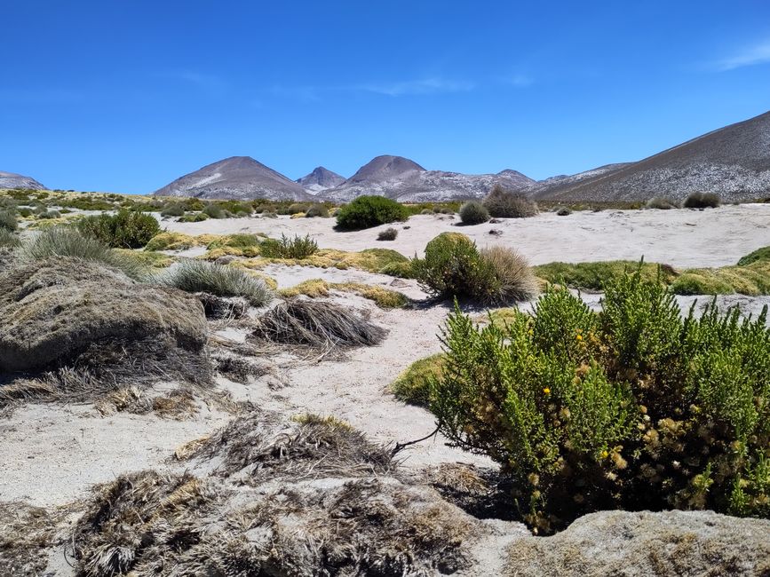 Arequipa: Beautiful Colca Canyon and the best almond peak in the world