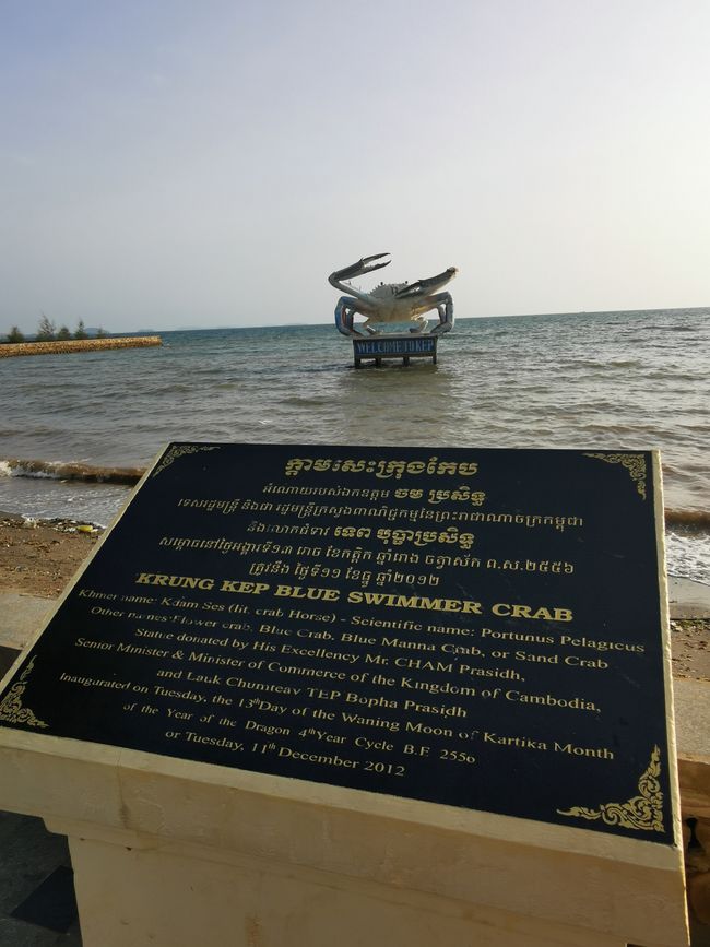 ... natürlich im Wasser ...