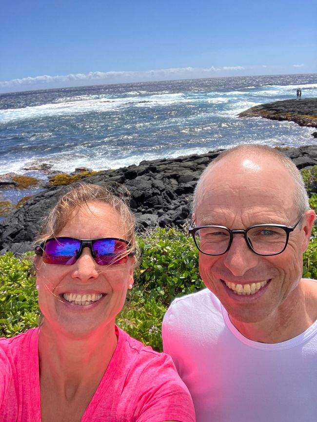 Black sand beach with green sea turtles