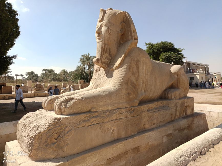 Sakkara, Memphis, Kairo
Tag 3