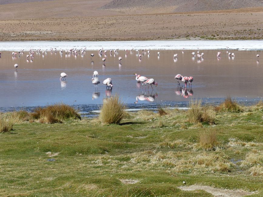 Chile, San Pedro de Atacama