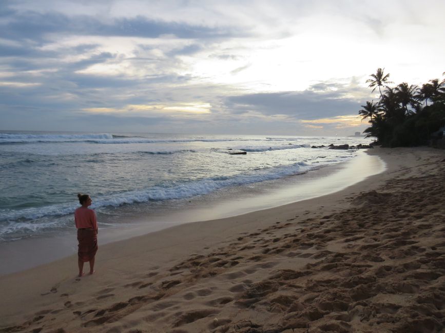 Matara - Mauvais temps, pas de baleines, mais des Salties (crocodiles d'eau salée)
