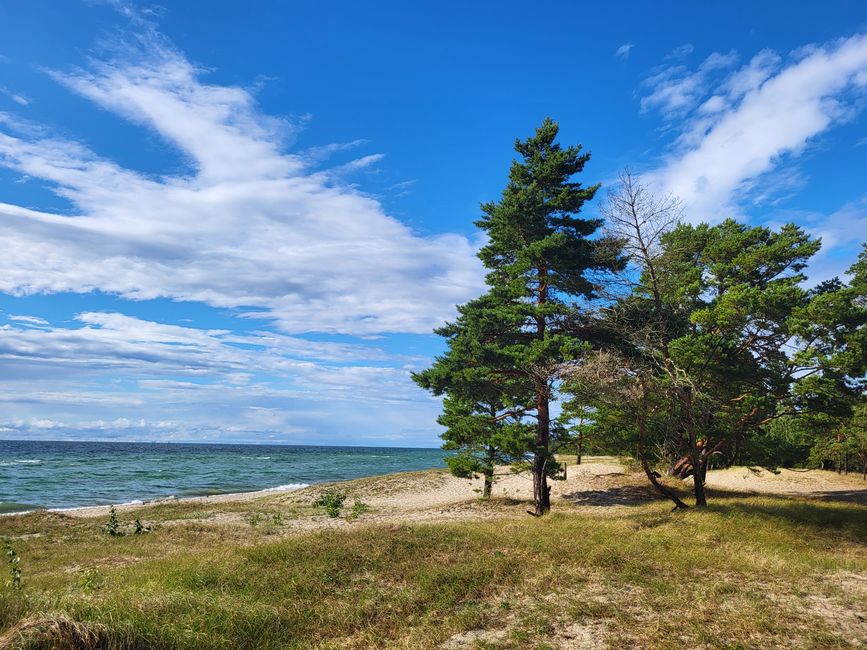 Sandstrand bei Byrums Raukar