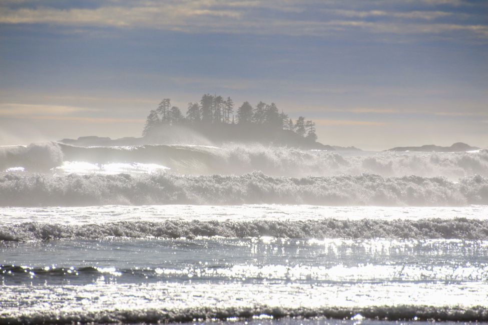 Etiqueta 7: Parque Nacional Pacific Rim - Ucluelet - Tofino