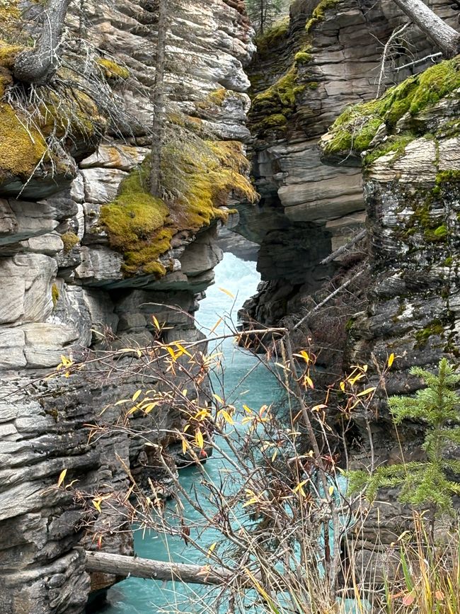 Tag 12 - 🏔️ Wasserfälle, Wetterkapriolen & Wellness – ein (fast) perfekter Tag in Jasper