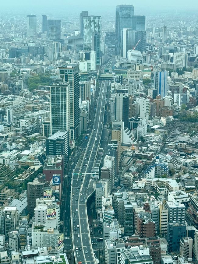 Parte 7
BENVENUTO IN GIAPPONE 🇯🇵
TOKYO