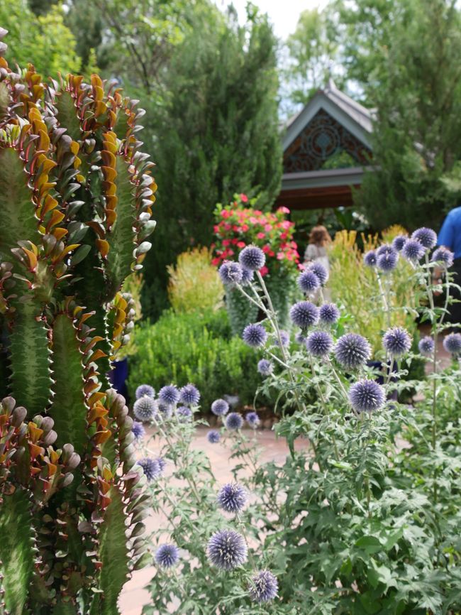 Jardín Botánico