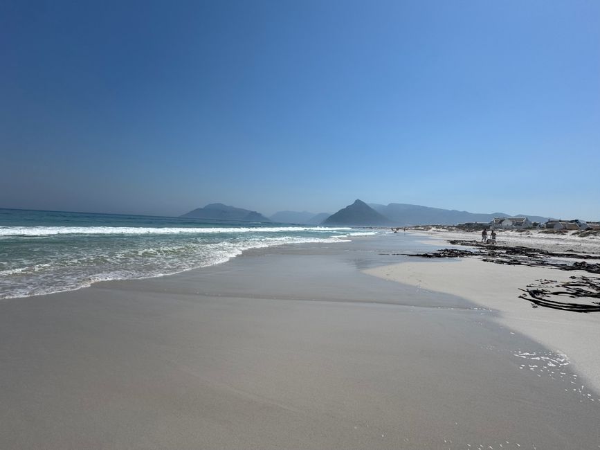 Afrique du Sud🇿🇦 Semaine 1