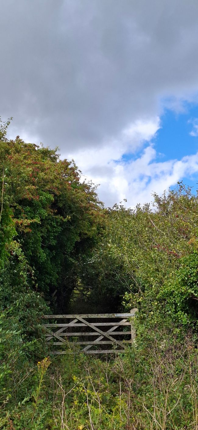 Tag 15 - Londra -> Dover