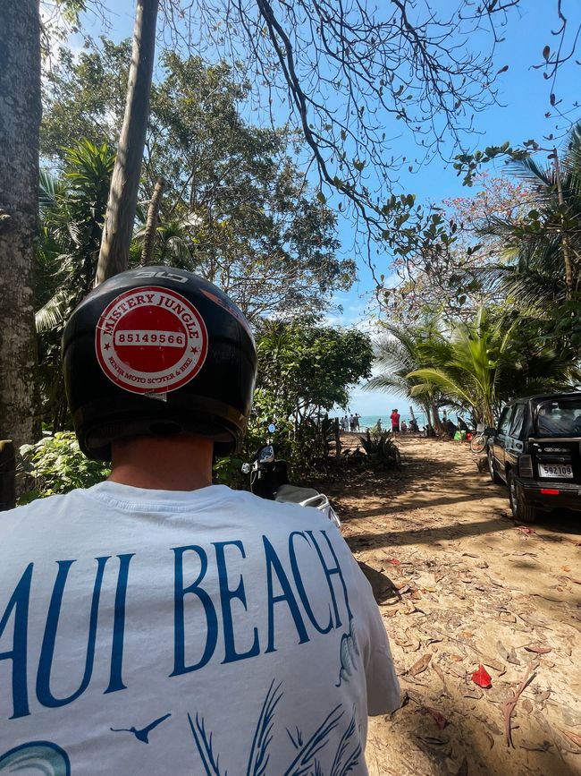 Puerto Viejo de Talamanca 🦥
