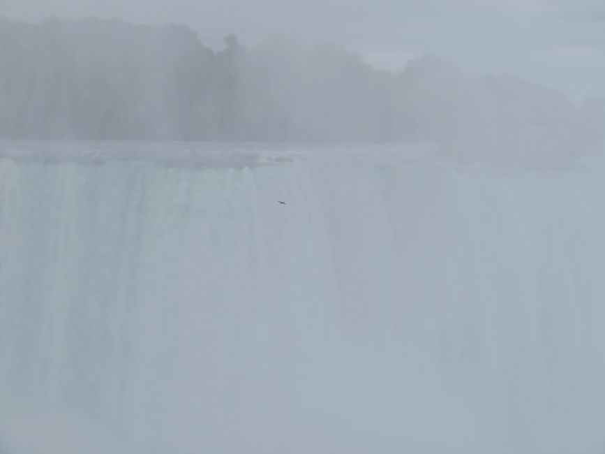 Boat at the Horseshoe Falls