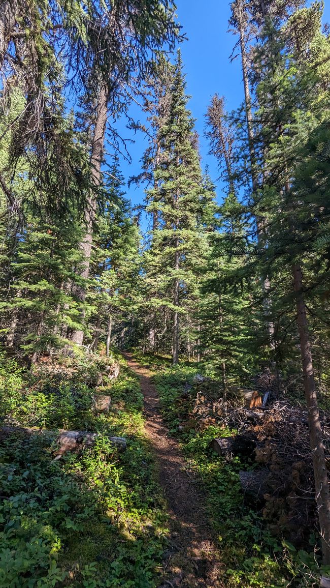 Upper Cascade Falls Trail