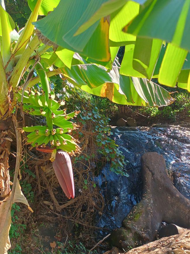 Cachoeira de Amizade/ Wasserfall der Freundschaft
