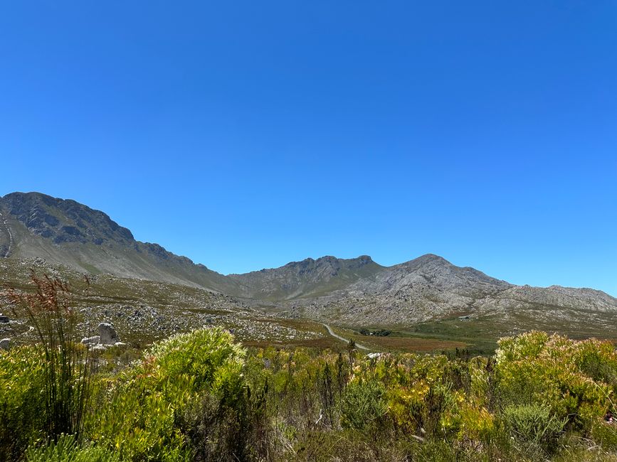 Day 5/29 - from Cape Town via Betty's Bay to Swellendam