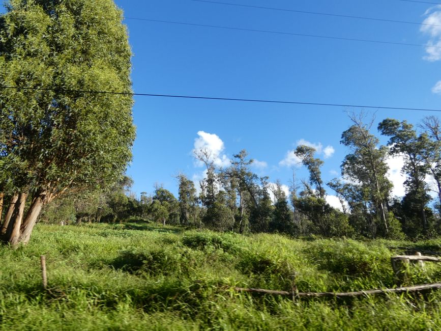 Isla de Pascua, día 1