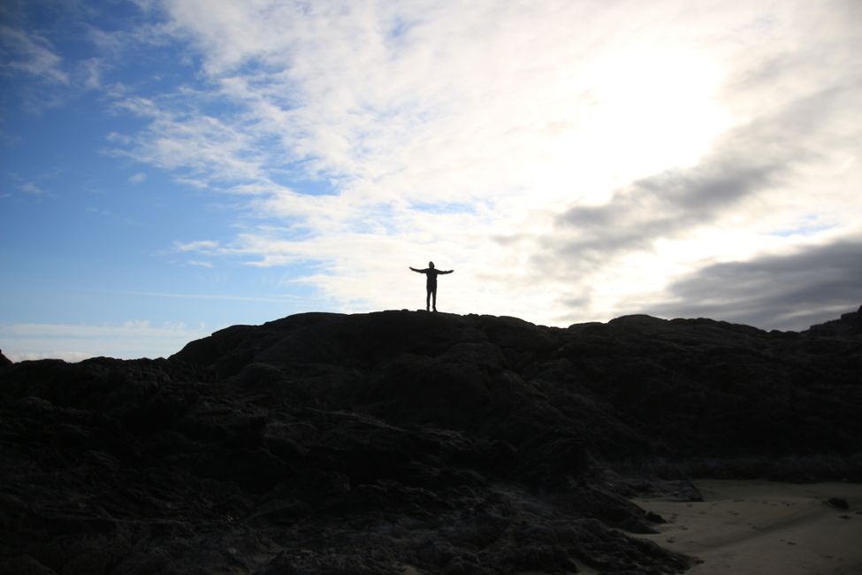 Playa larga - lazo de algas