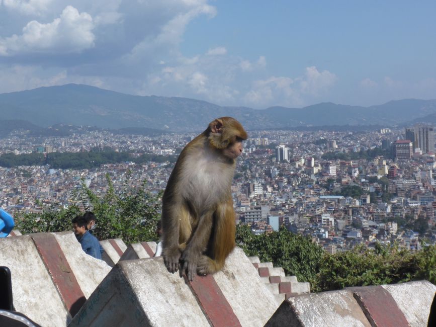 28.10.2024 Nepal, Kathmandu