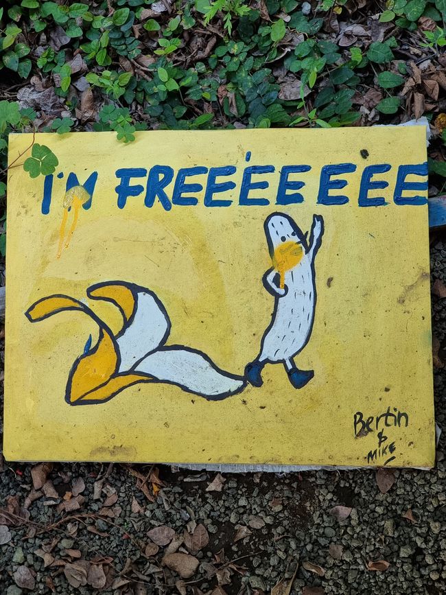 Tansania - Tag 8: Eco Banana Farm