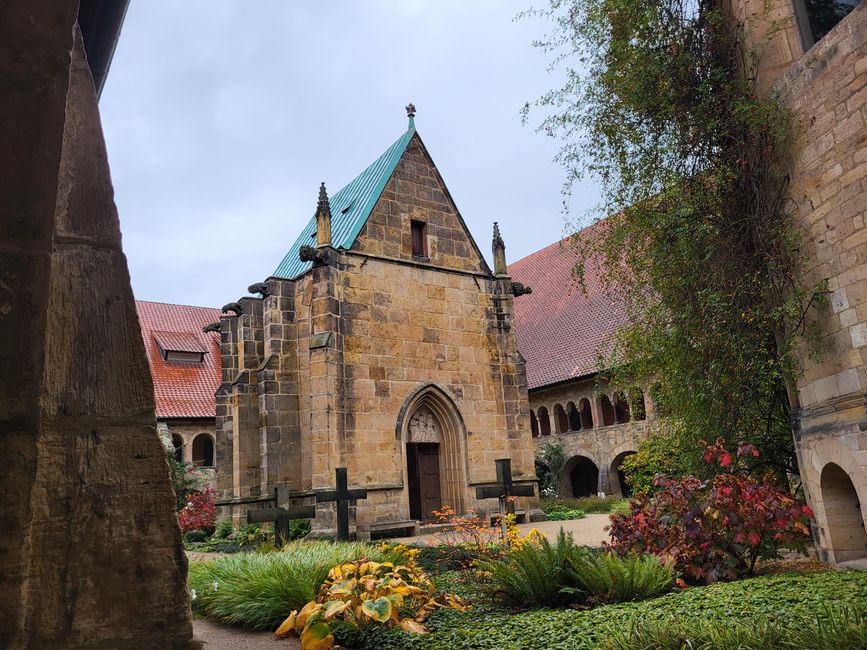 Innenhof Dom mit Rosenstock