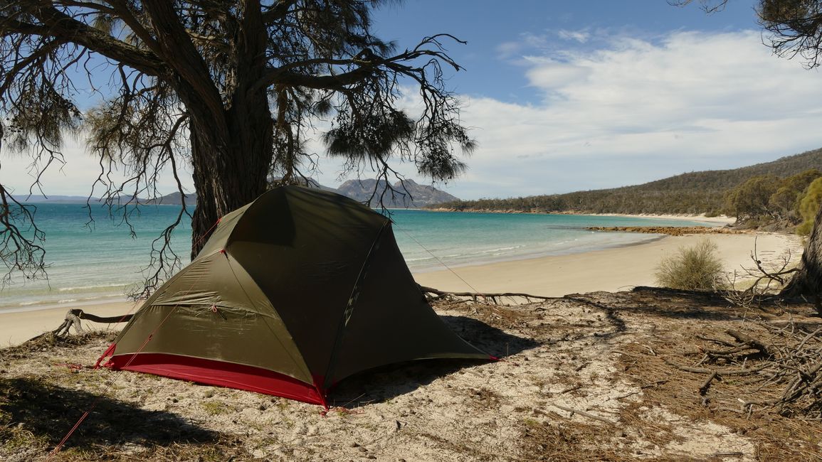 - Singapur & Tasmania 2019 -