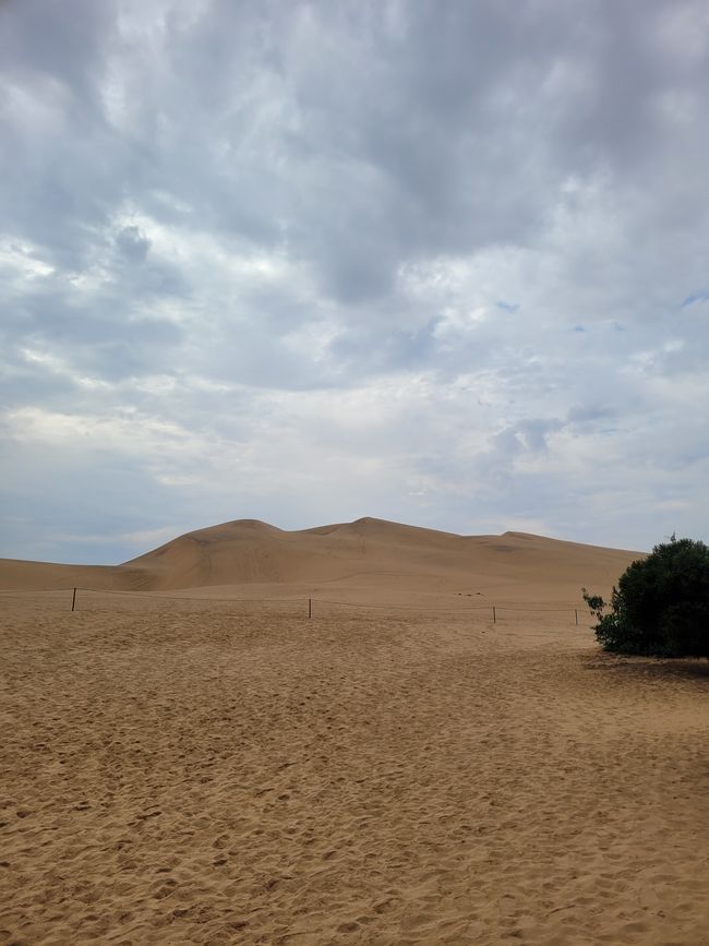 Jour 146 et 147/148 sur 175 : Croisière autour du monde : Walvis Bay/Namibie et deux jours en mer