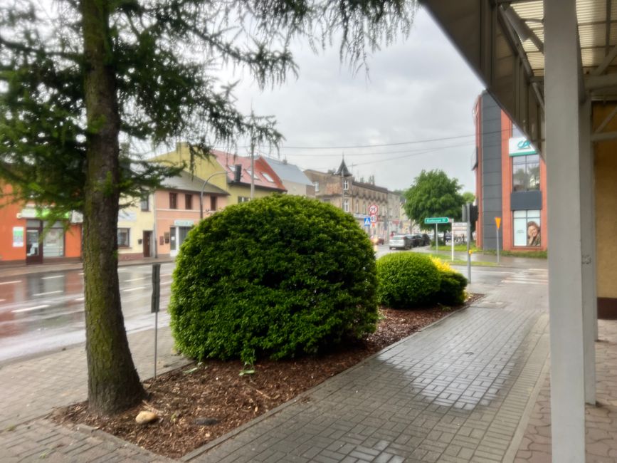 31 vers Ostrzesz w
