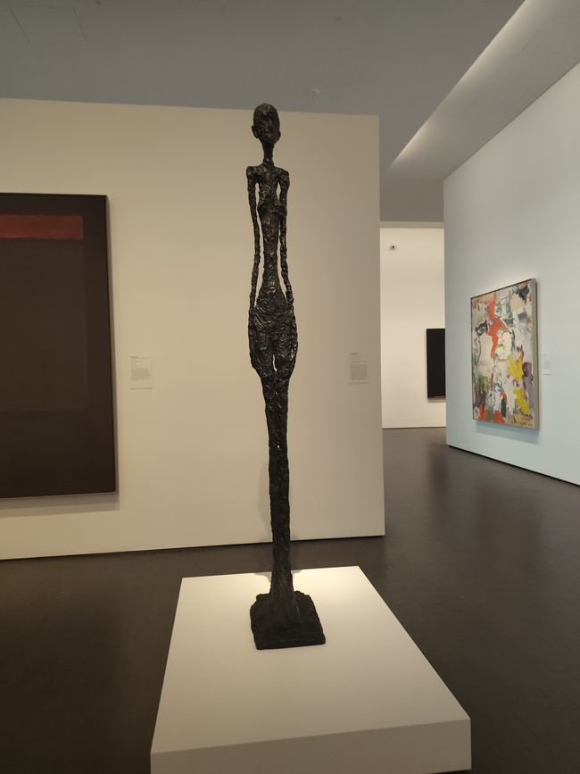MFAH Benni's Fotos