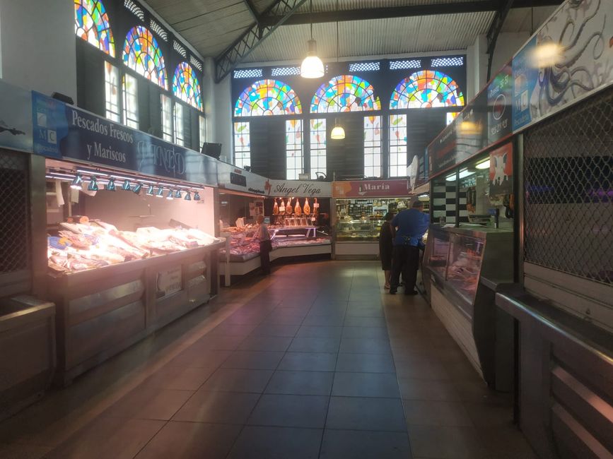 Photos of the Central Market of Salamanca (August 2024)