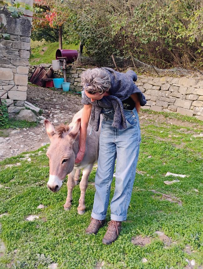 4 días de cosecha están en los huesos