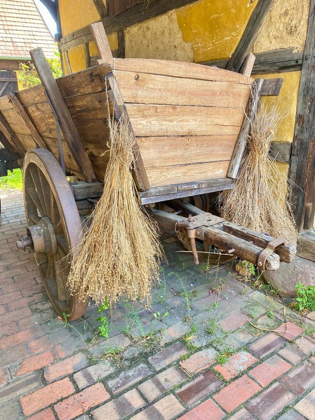 Spreewald like in the old days – A rewarding trip to Lehde