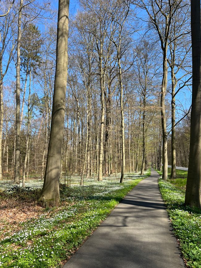 10 hacia Lübeck