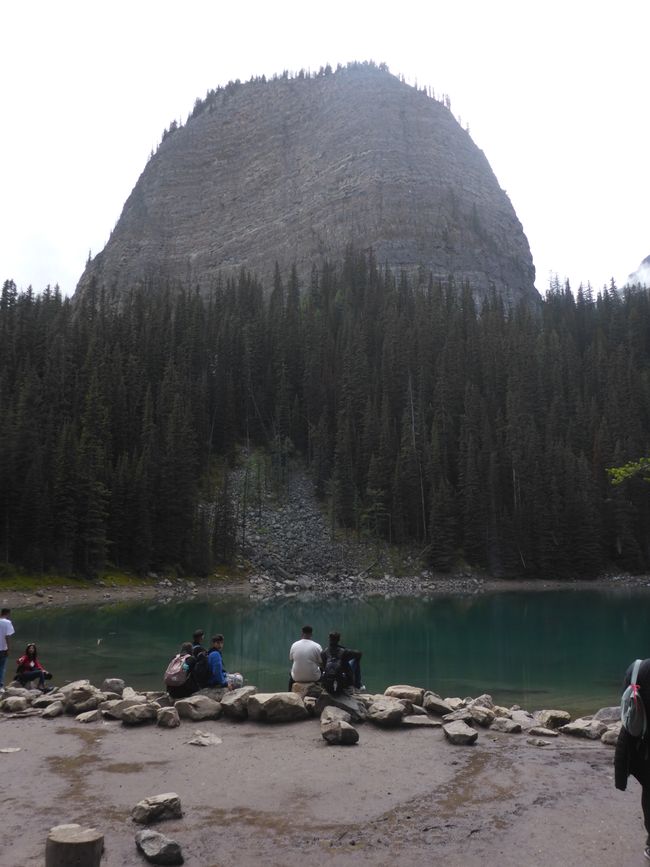 2025-06-19 sur l'Icefields Parkway de Jasper à Lake Louise, CA