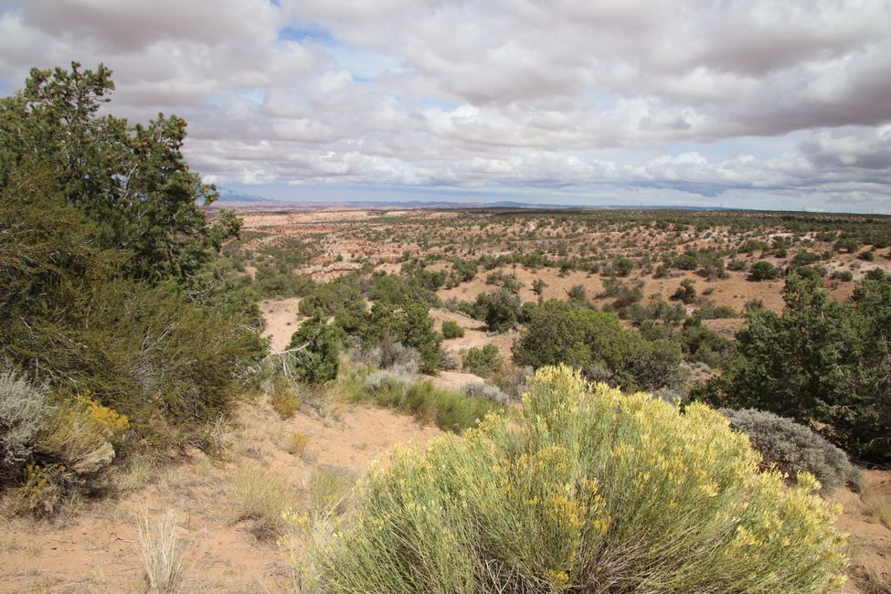 Navajo Land