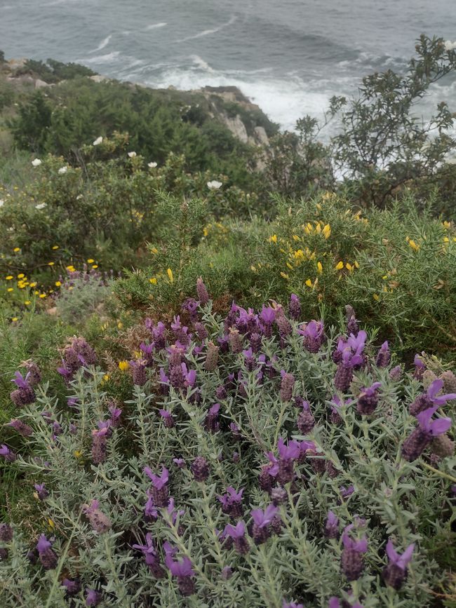 Hike to the westernmost point of Europe