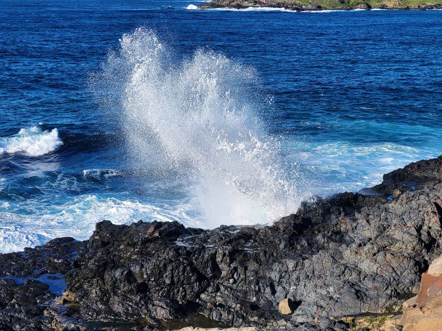Kiama