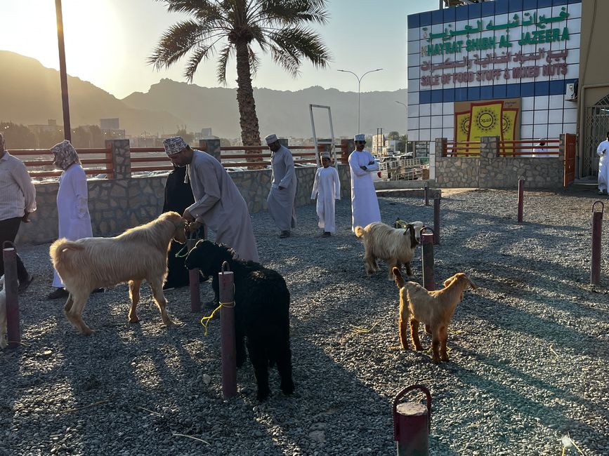Nizwa