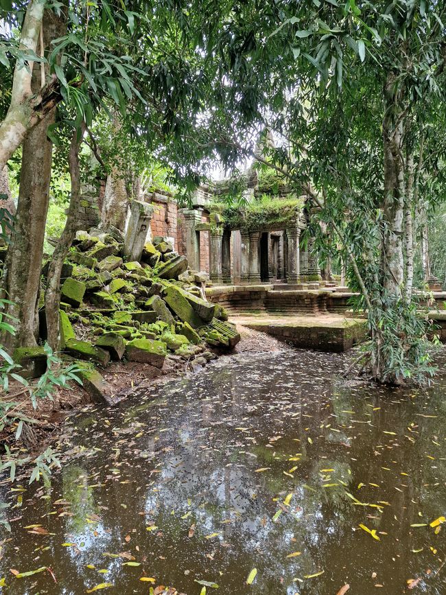 Baphuon und Ta Phrom - Himmelsleiter und himmlischer Ort