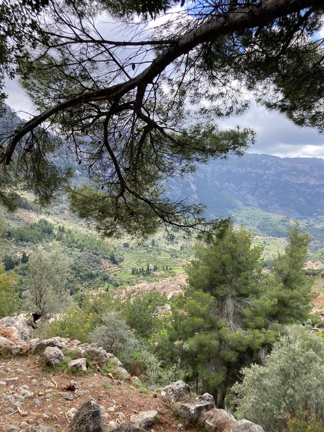 Fornalutx… heißt übersetzt, bestimmt- „steile Treppen“