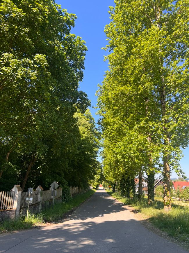 21 nach Donauwörth