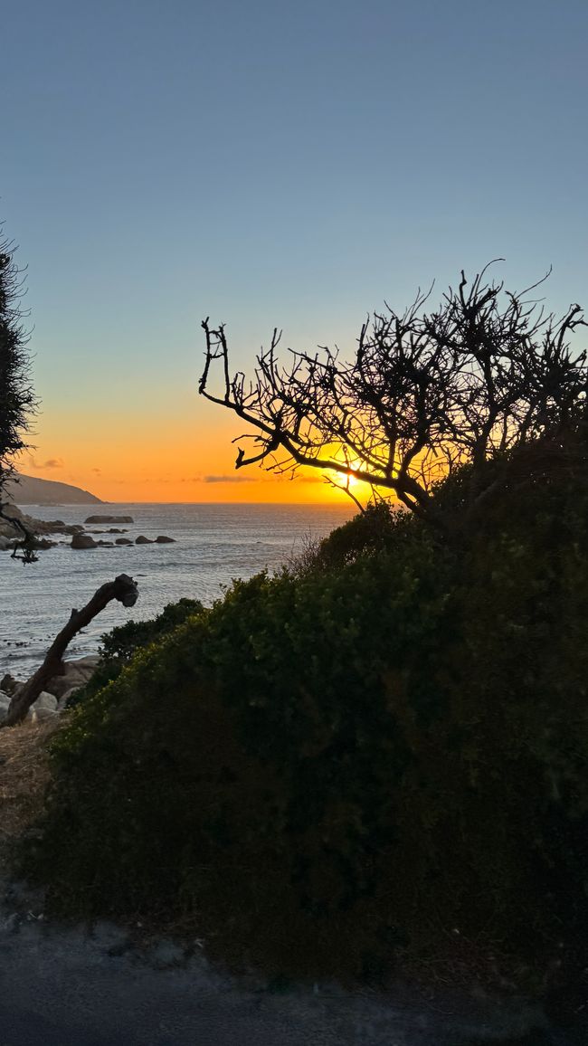 Tour del porto a Città del Capo, Spiaggia di Muizenberg, Spiaggia di Boulders, Capo di Buona Speranza
