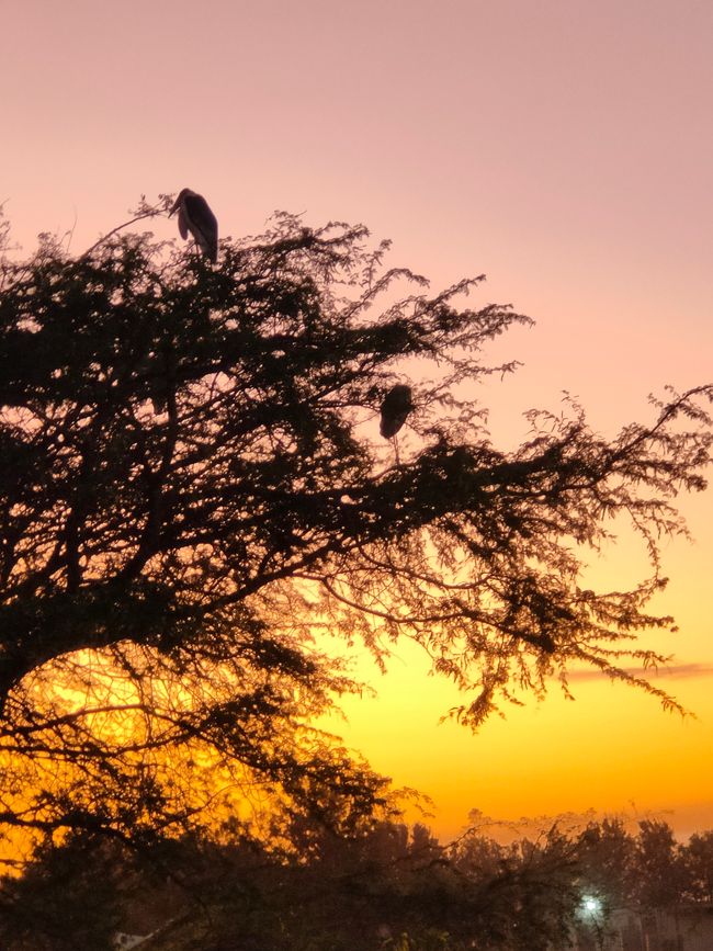 Hawassa primer día